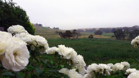 A Way To Relax At Welcome Springs Country Stays - Australia Shopping 8